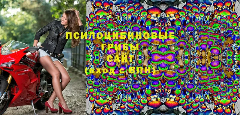 это Telegram  Крым  Галлюциногенные грибы Magic Shrooms  купить закладку 